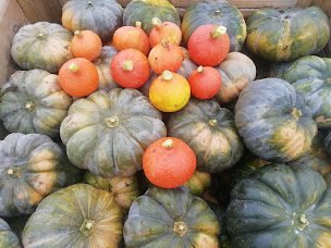 Photo n°19 de Cueillette & magasin Le Chêne & La Chouette à Baulon (Magasin bio)