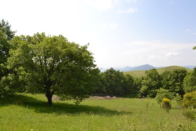 Photos of The Farm Querceto - Company Bioecological