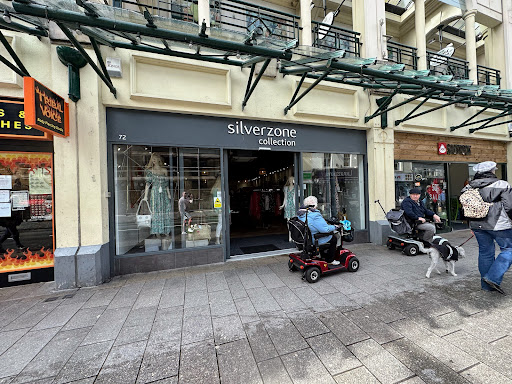 Silverzone Collection - Visual
