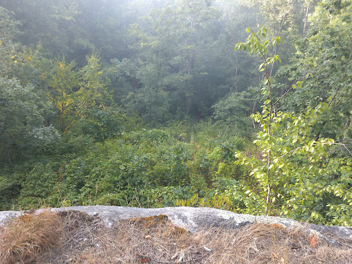 Coney Rock Preserve Gallery - United States