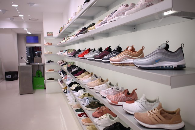 OZ Sneaker Lab