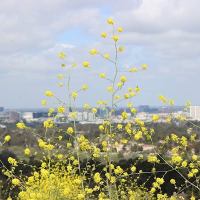 Photos of French Hill