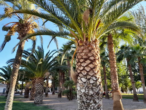 estanque Park - Visual
