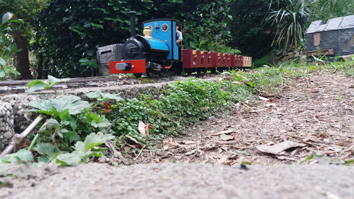 Llechfan Garden Railway - Thumbnail