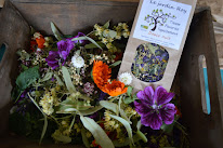 Le Jardin Roy à Haution