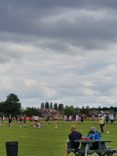 Wilton Fields - Visual