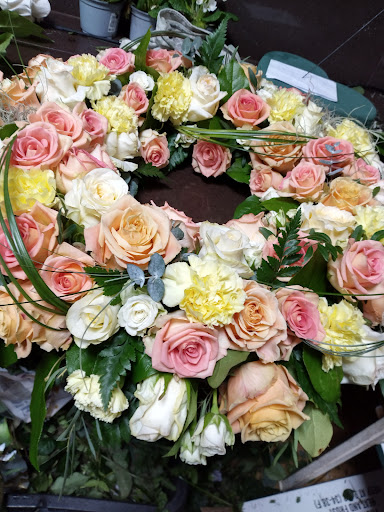 Blumen Jeub - Thumbnail