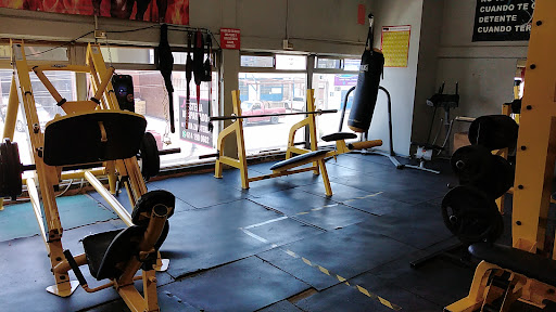 Machiiin Gym - Thumbnail