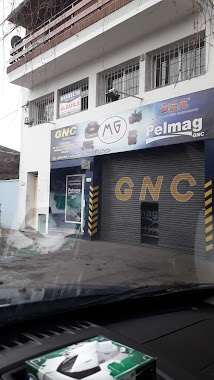 Pelmag GNC, Author: Daniel Gamez