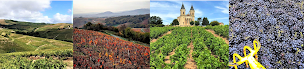 Photo n°1 de Les 3 Familles à Chiroubles (Cave à vins)