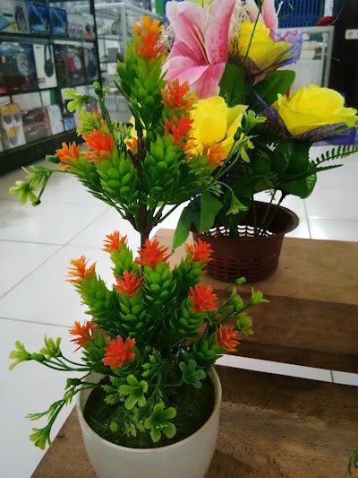 Photos of Bintang Cell