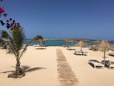Photos of Alisios