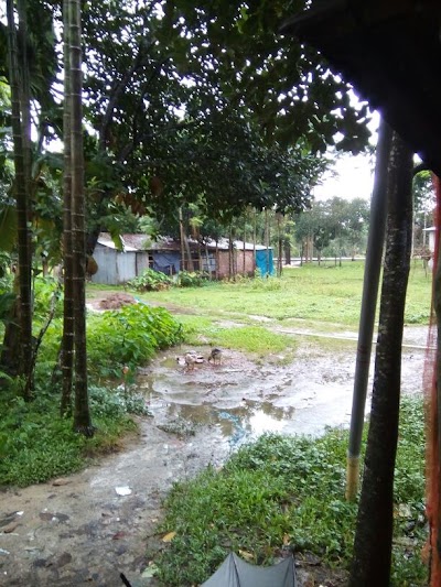 Photos of Pulerghat Bazar Old Bus Stop