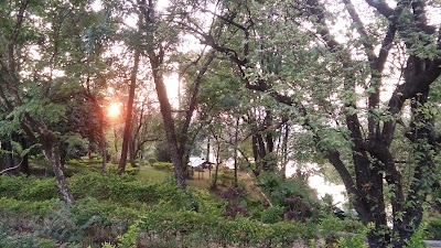 park