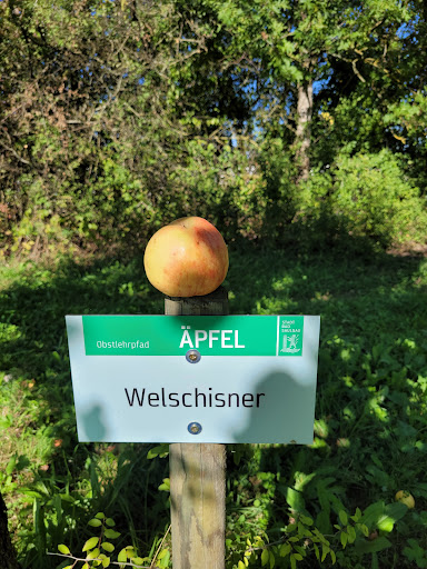 Obstbaumlehrpfad Bad Saulgau - Thumbnail