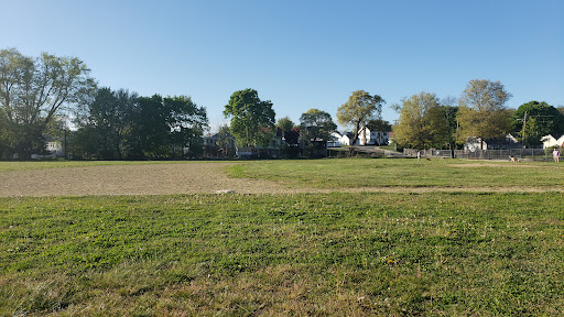 O'Rourke Field - Visual
