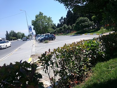 Photos of Halkalı &Ccedil;amlık Piknik Alanı