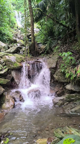 Cra. 19 #18-32 Segundo piso, Armenia, Quindío