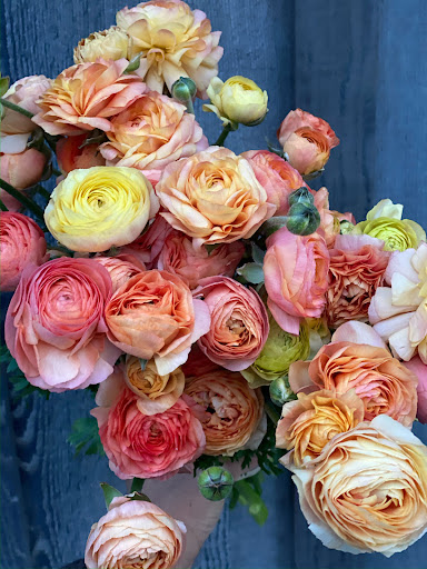 Fabled Flora - Visual