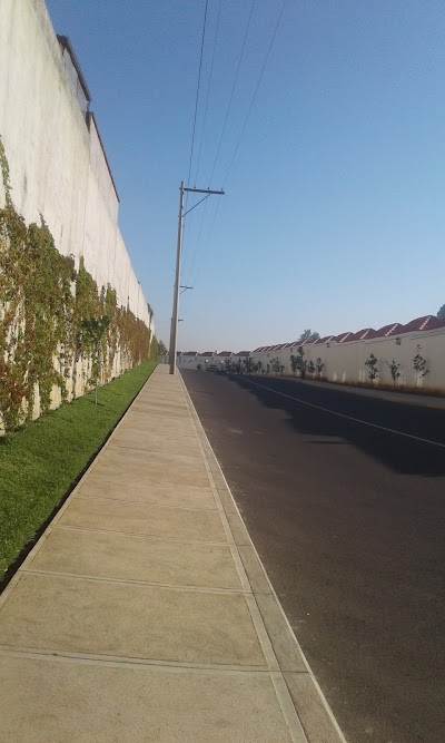 Photos of County San Nicolas 3