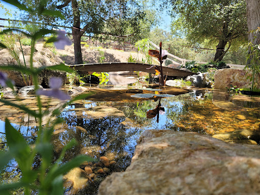 Columbia Water Gardens | Pond Construction - Maintenance - Repair - Thumbnail