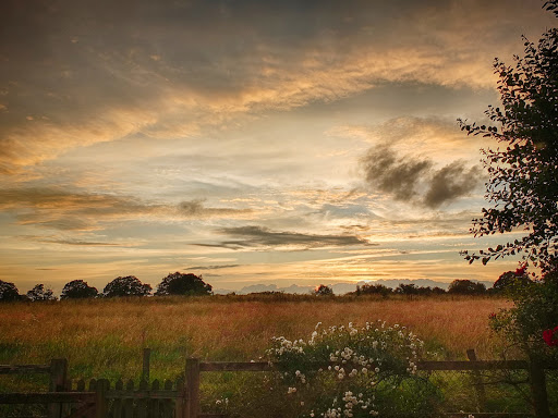 Sherfield Oaks - Thumbnail