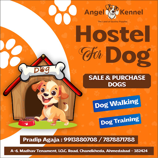 Dog hostel available in Ahmedabad post image