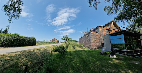 EAST GRAPE - Wein Events by null