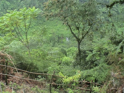 Photos of CAIDAS DE AGUA DE ALIYA CENTRO ECOTURISTICO