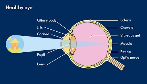Signs You Need an Eye Check-up post image