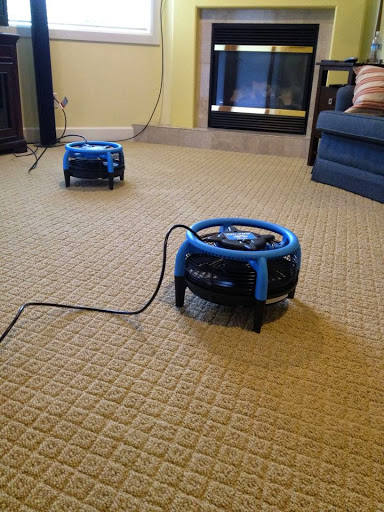 Platinum Professional Carpet Cleaning - Thumbnail
