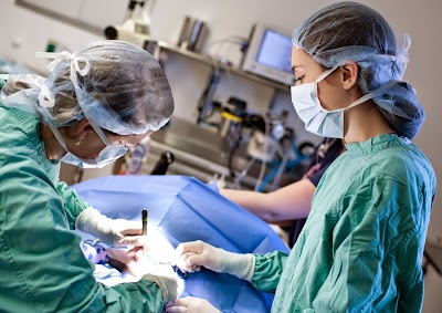 veterinary-care