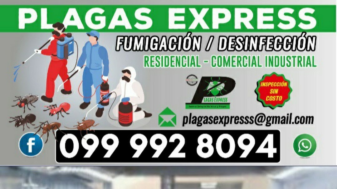 Encantador sextante Mathis Fumigaciones Plagas Express - Fumigación Y Control De Plagas en Quito