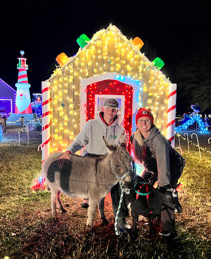 Dances Bay Christmas Light Show - Thumbnail