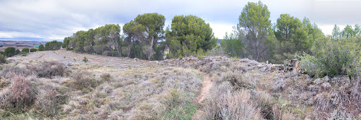 Castro de Valmediano (Edad de Hierro) - Thumbnail