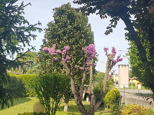 L'Oasi di Vigarano Pieve del Canoa Club Ferrara - Thumbnail