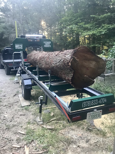 Patenaude Forest Products Stump Grinding