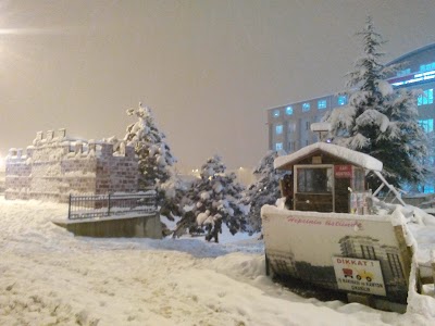 lodging