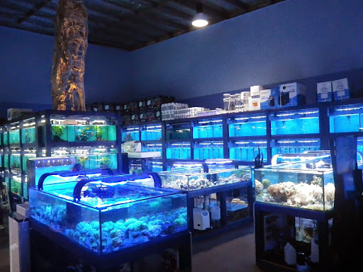 ARC Aquariums - Thumbnail