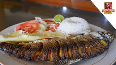 Photos of Restaurante Do&ntilde;a Leo
