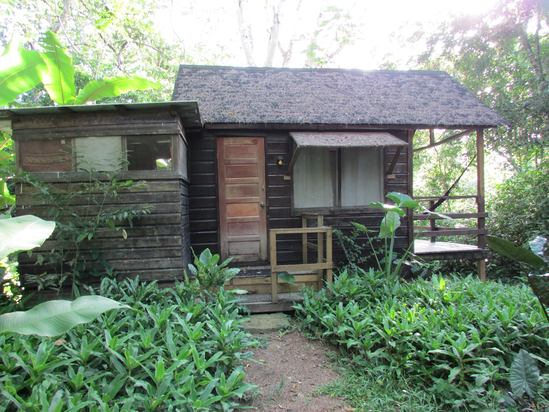 Parrot Nest Lodge