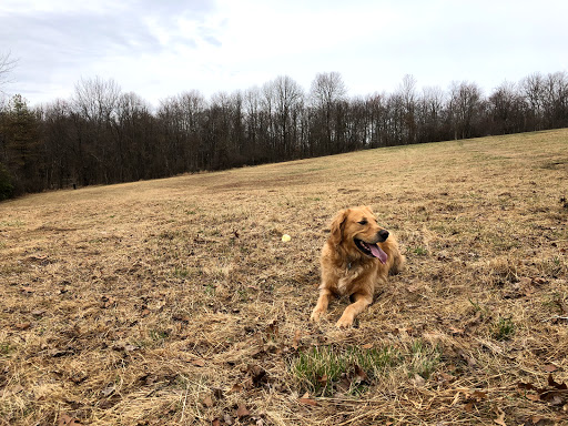 Sewickley Heights Borough Park - Thumbnail