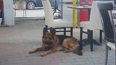 Photos of Kumsal Beach Club