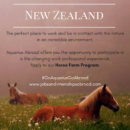 Photo n°17 de Jobs and Internships Abroad à Paris (Agence de voyages)