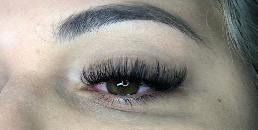 Lashed - Visual