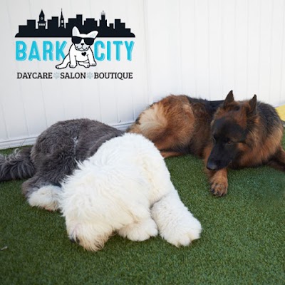 Bark City Doggy Daycare
