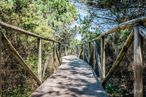 Coastal Botanical Garden of Veneto - Thumbnail