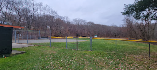 Natick Fields - Visual
