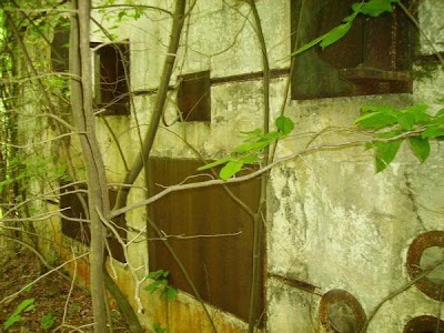 Photos of Dawson Forest Wildlife Management Area