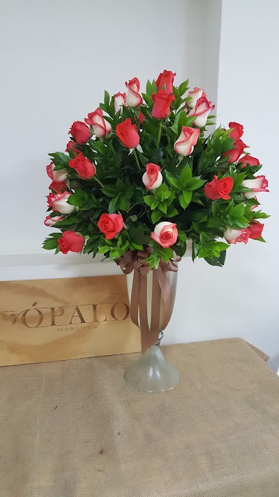 Photos of Opalo Florister&iacute;a